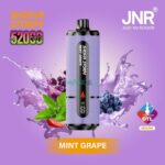 jnr shisha storm 52000 puffs disposable vape 2 dtl in the uae mint grape
