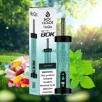 hoqa hok clouds 80k puffs 5 nicotine shisha based vape gum mint
