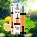 hoqa hok clouds 80k puffs 5 nicotine shisha based vape lemon mint