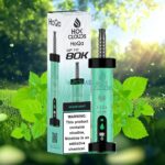 hoqa hok clouds 80k puffs 5 nicotine shisha based vape miami mint