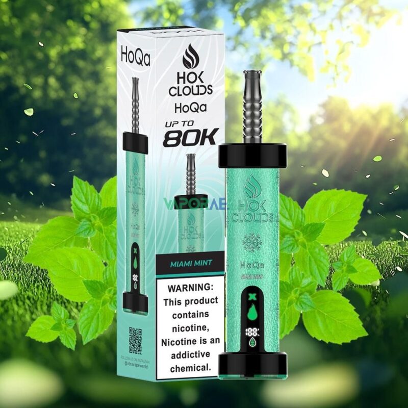 hoqa hok clouds 80k puffs 5 nicotine shisha based vape miami mint