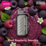 vozol gear ice sweet 50000 puffs disposable vape 50mg vapor ae 10