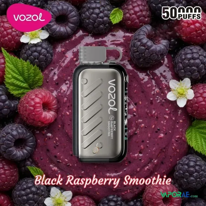 vozol gear ice sweet 50000 puffs disposable vape 50mg vapor ae 10
