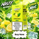 nasty burst 3mg 60ml vape juice in uae lemon mint