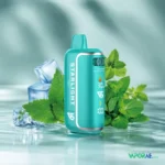 vapesoul starlight 80000 puffs disposable vape mint ice